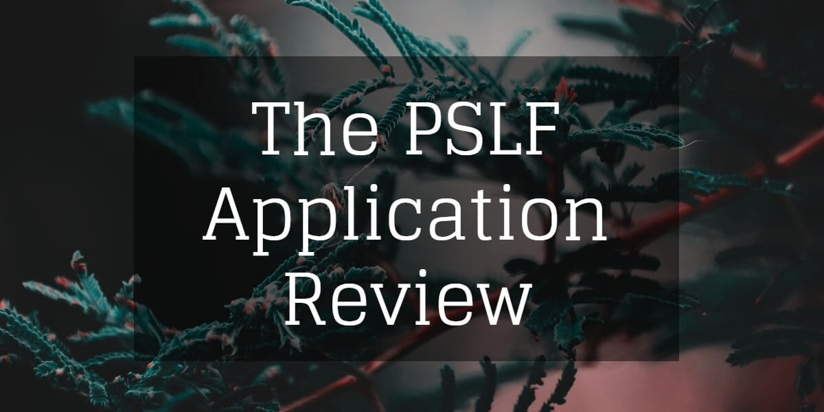 PSLF Application Review Wrenne Financial Planning Lexington KY pslf-repayment-plans-2024-pslfform
